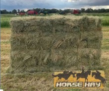 Lot 71