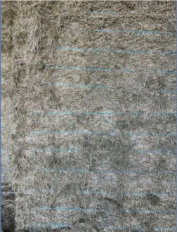 Lot 73A